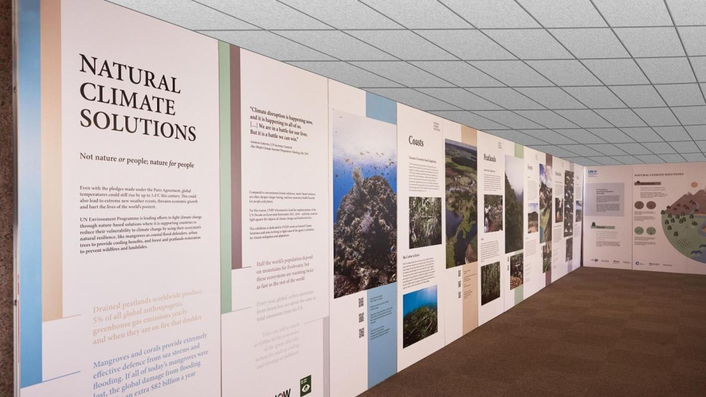 Exhibition boards describing natural climate solutions in the UNON exhibition area