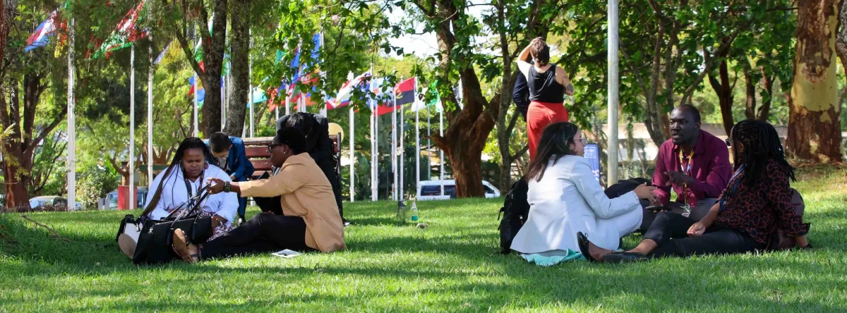 Groups of people sit on the grass