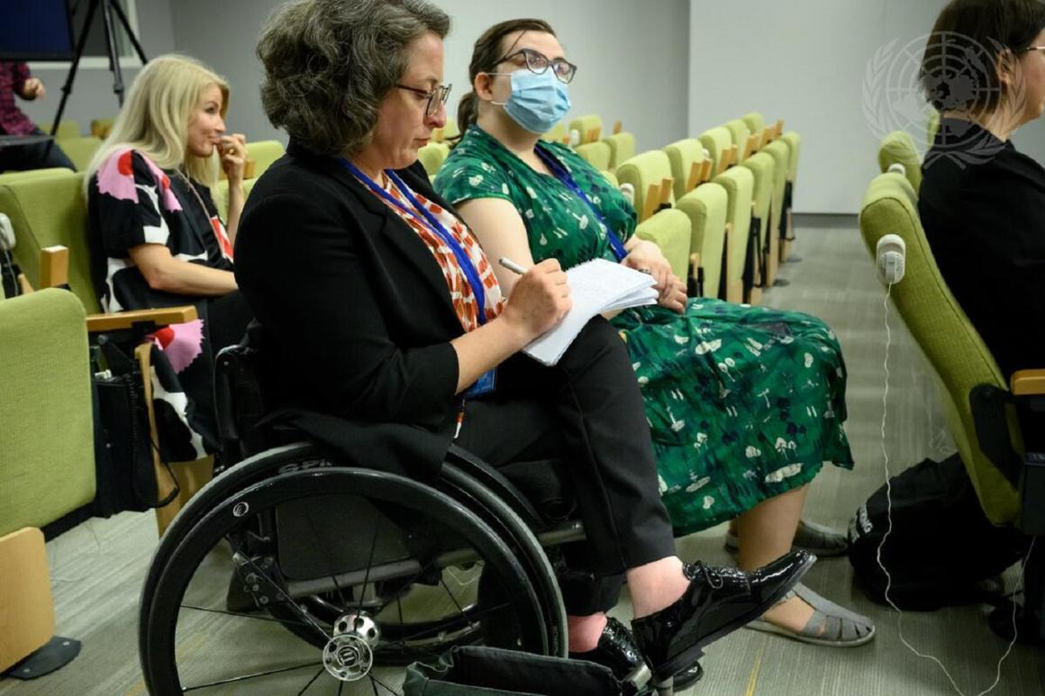 UNON meeting delegate