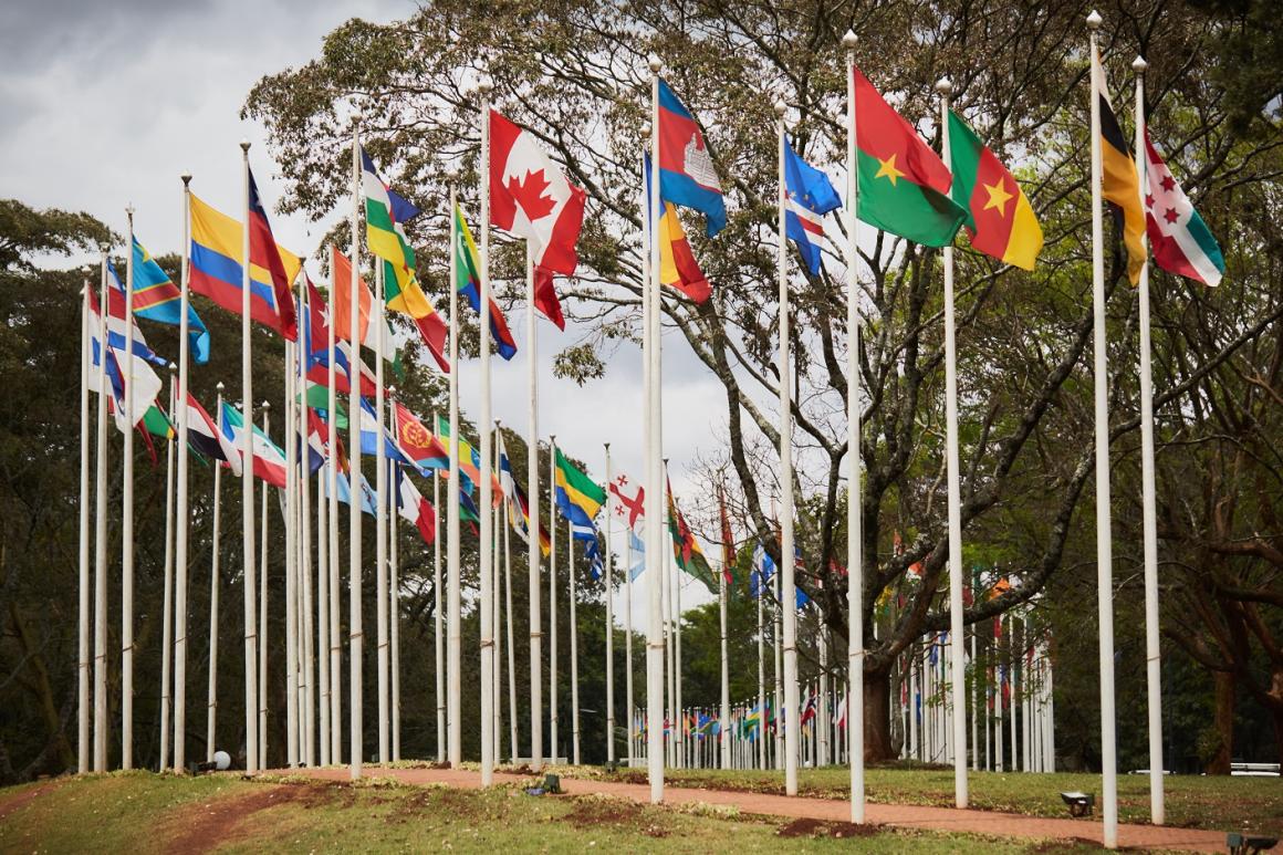 Rangée de drapeaux d’États Membres de l’ONU flottant au sommet de mâts le long de l’allée qui mène de l’entrée principale à la zone centrale d’accueil du complexe de l’ONUN 