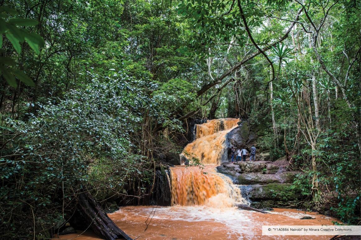 Chute d’eau dans la forêt de Karura, entourée d’une végétation luxuriante et de formations rocheuses naturelles