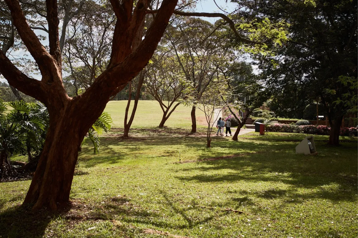 UNON garden 2
