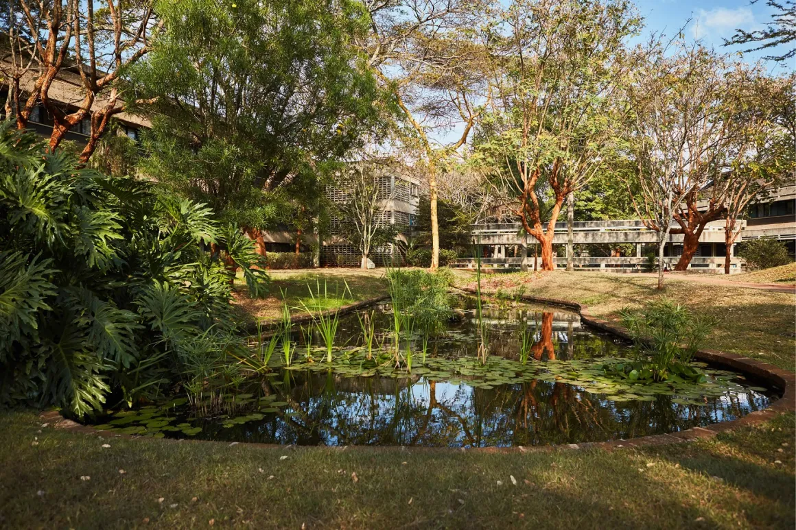 UNON garden 4