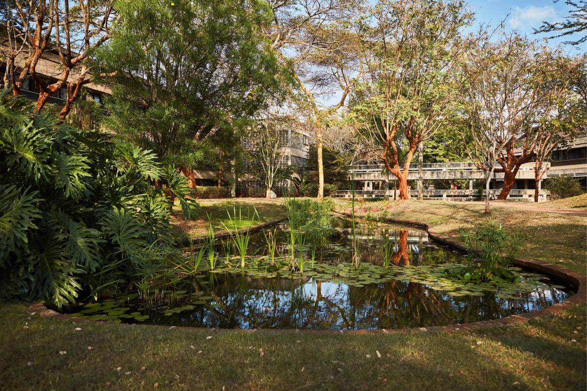 UNON garden 4