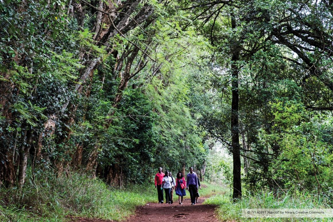 UNON Nature trail