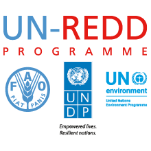 UN UNREDD logo4