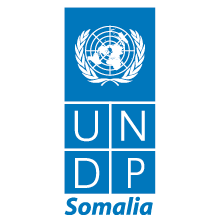 UNDP Som 2
